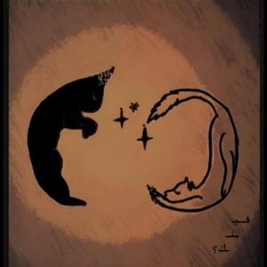 Fenk (Acoustic live version)