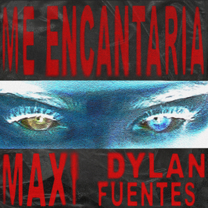 ME ENCANTARIA