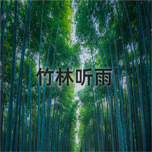 竹林听雨