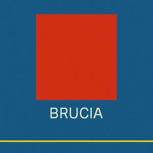 Brucia