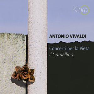 Concerto in D Minor, RV 535: I & II. Largo - Allegro (VRT Muziek Edition)