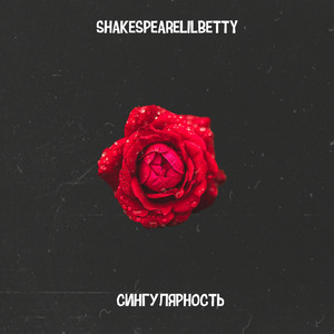 Сингулярность