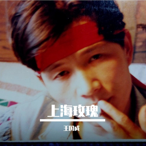 上海玫瑰（新）