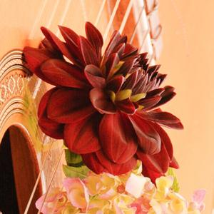 Some colors you can see