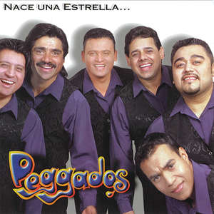 Homenaje (Si Tú Te Vas)