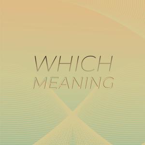 Individualism Professionalism