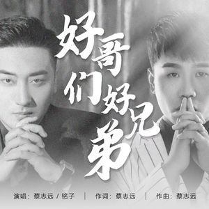 好哥们好兄弟（ 伴奏）