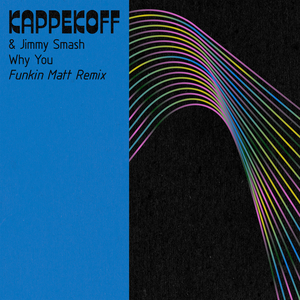 Why You (Funkin Matt Remix)