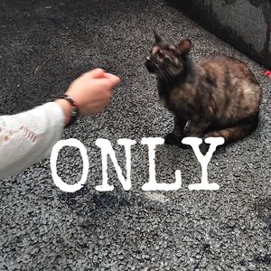 唯一（only）