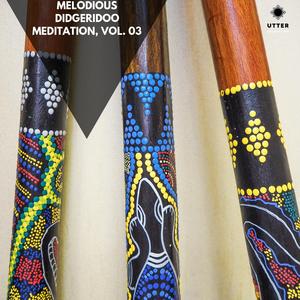 Native Australia Healing Digeridoo