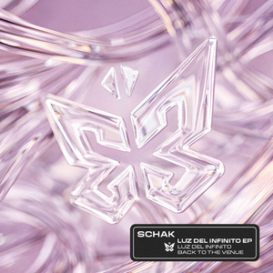 Back To The Venue (Original Mix)