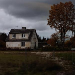 Вечная весна в китайской комнате