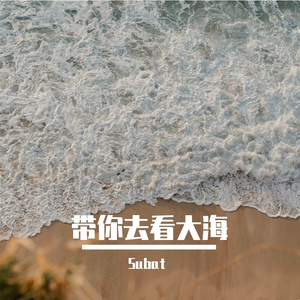 我要带你去看大海