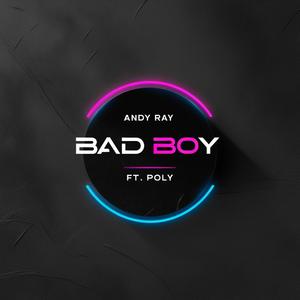 Bad boy (feat. Andy Ray)