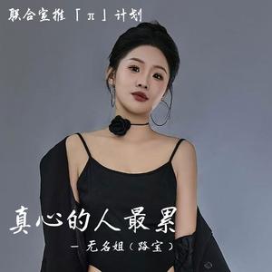 真心的人最累 (现场DJ默涵版)