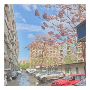 阿拉斯加海湾