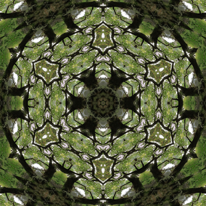 Seinneann ceol ceangailte