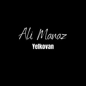 Yelkovan