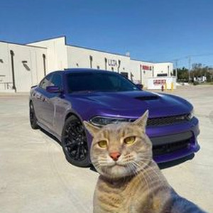 7969 Santa (sped up)