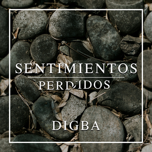 Sentimientos Perdidos
