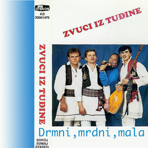 Slobodankino kolo (Instrumental)