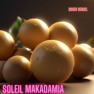 Soleil Makadamia