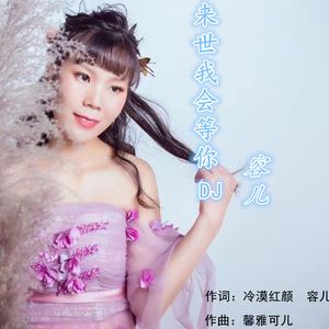 来世我会等你(DJ)