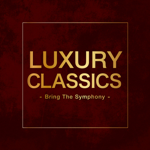 Concerto For Viola D’Amore, Lute And Plucked Strings In D Minor: Allegro