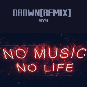 Drown(Martin Garrix/陶宇轩)（陶宇轩Remix）