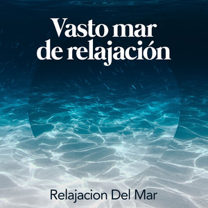 Small Stream, Big Bird Population