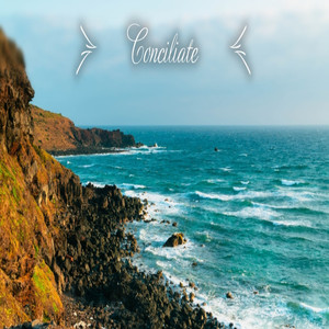 Conciliate