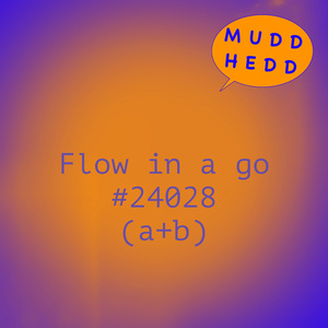 Flow in a go: 24028b