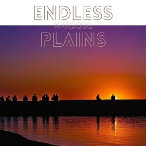 Endless Plains