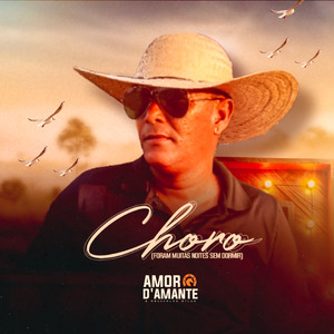 CHORO (FORAM MUITAS NOITES SEM DORMIR)