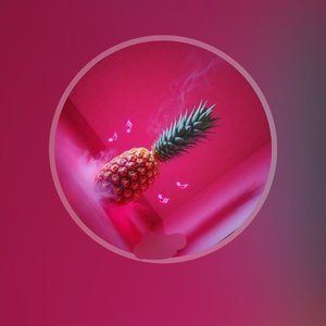 菠萝刺须.wav