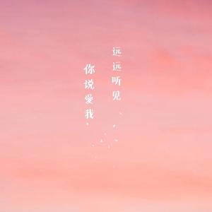 远远听见你说爱我