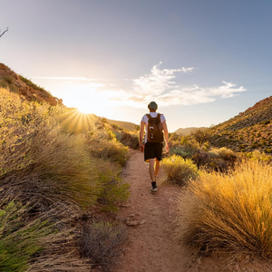 Movimiento De Relajación Armonizado