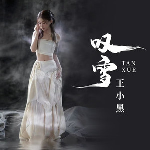 叹雪2.0（奏一曲东风破） (伴奏)