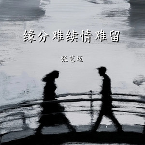 缘分难续情难留 (DJAX1n版)