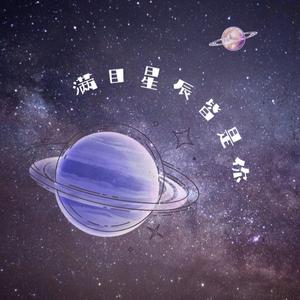 满目星辰皆是你