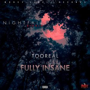 Fully Insane [Nightfall Riddim] (feat. Toorealmuzic )
