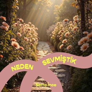 Neden Sevmiştik