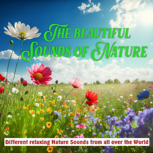 Light Thunderstorm in a Garden