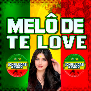 Melô de Te Love (Remix)