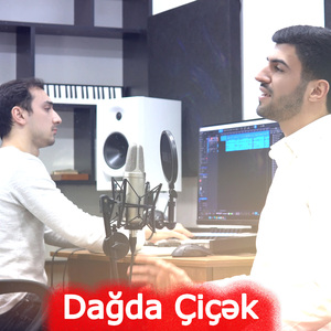 Dağda Çiçək