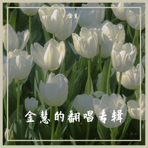 志明与春娇 cover五月天