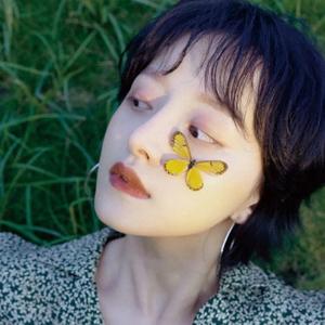 一腔诗意喂了狗