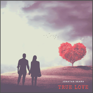 True Love (Radio Edit)