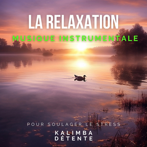Musique pour massage holistique