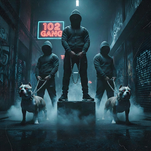 102 Gang (Remix)